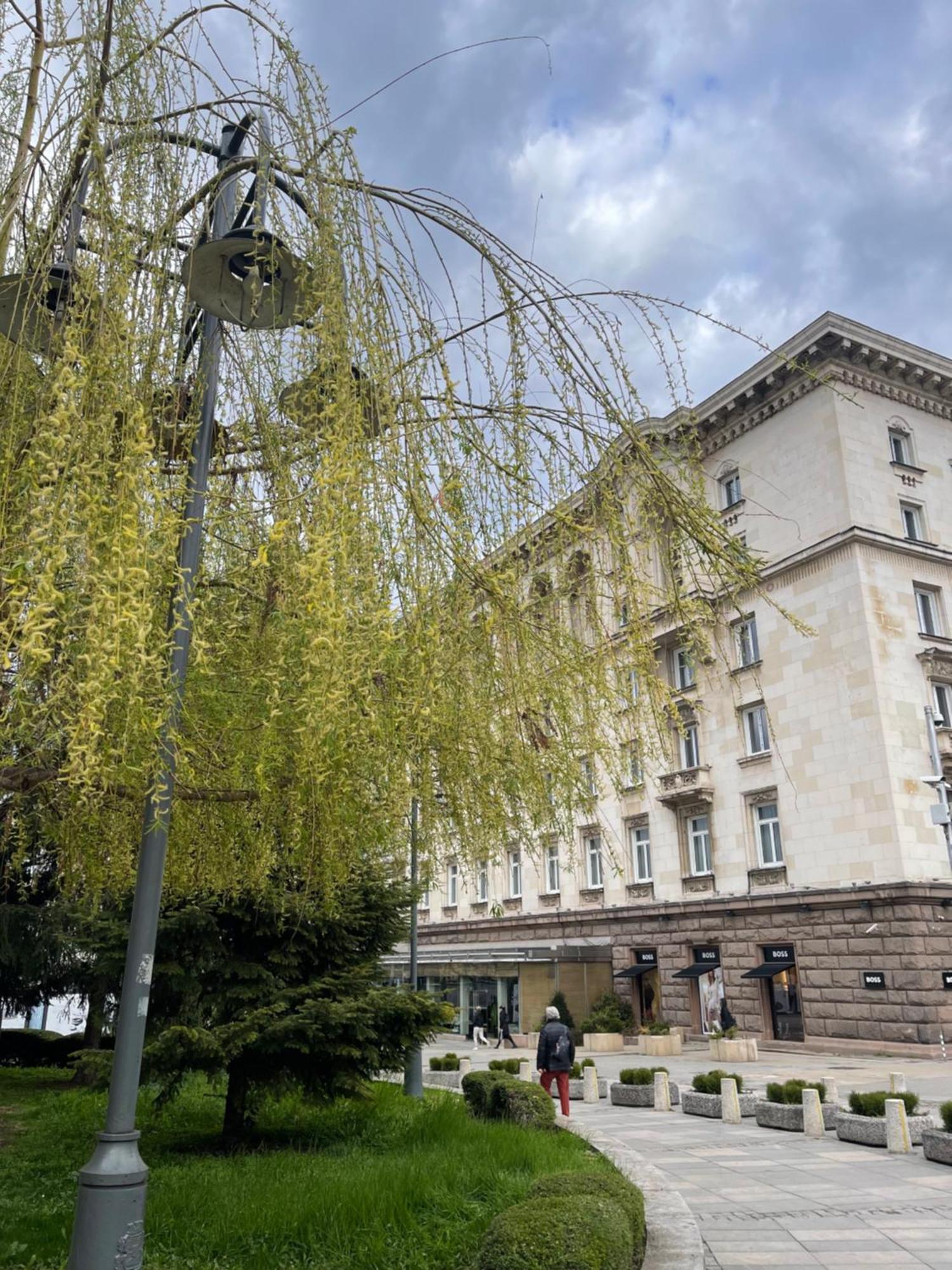 Sofia Balkan Palace Luaran gambar